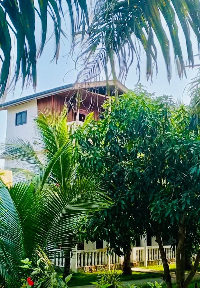 Serenity Haven Lodge Busua Esterno foto